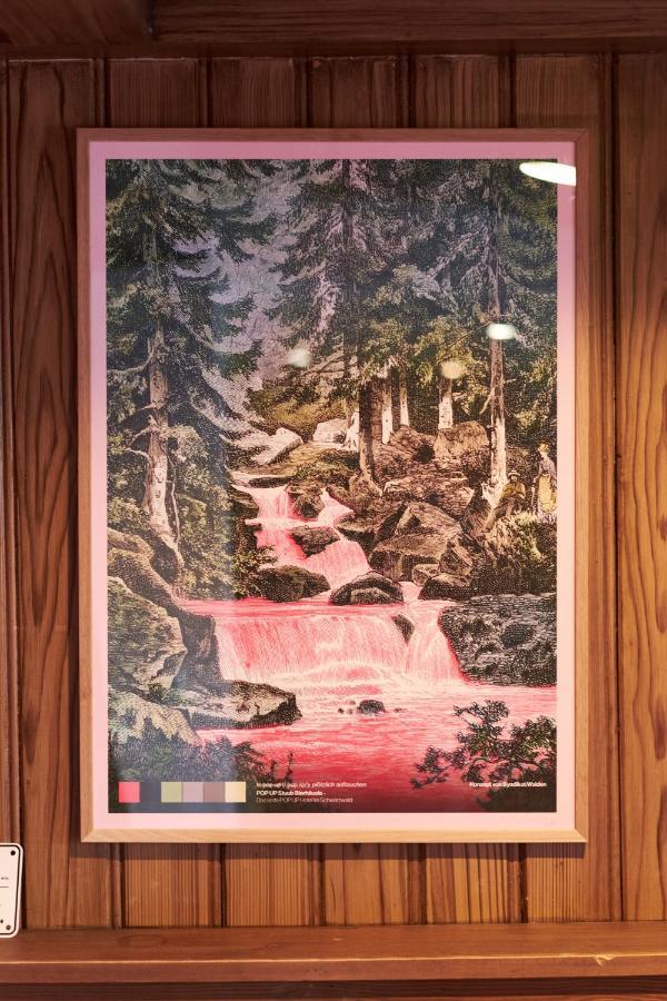 Pop-Up Stuub Feldberg Hotel Фелдберг Екстериор снимка
