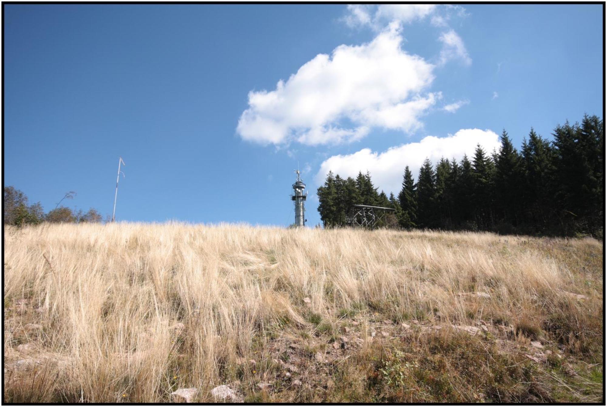 Pop-Up Stuub Feldberg Hotel Фелдберг Екстериор снимка