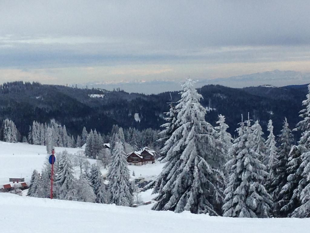 Pop-Up Stuub Feldberg Hotel Фелдберг Екстериор снимка